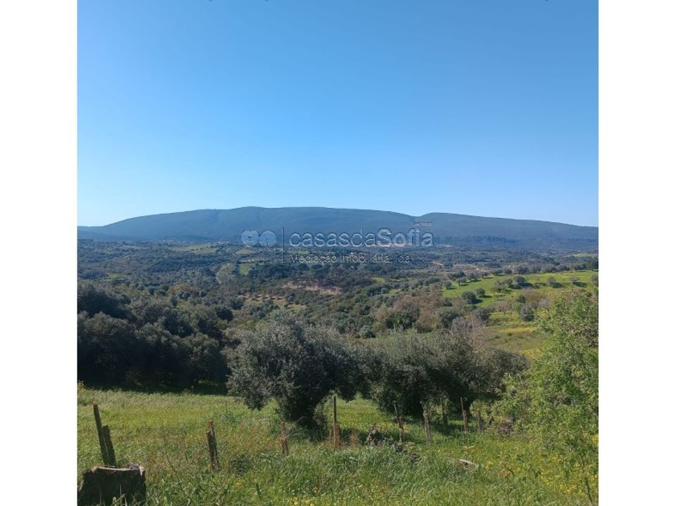 Villa i Torres Novas, Santarem - foto 1