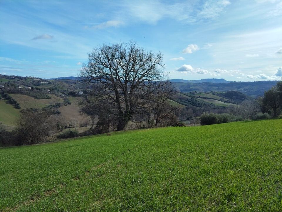Villa in Petritoli, Fermo - foto 4