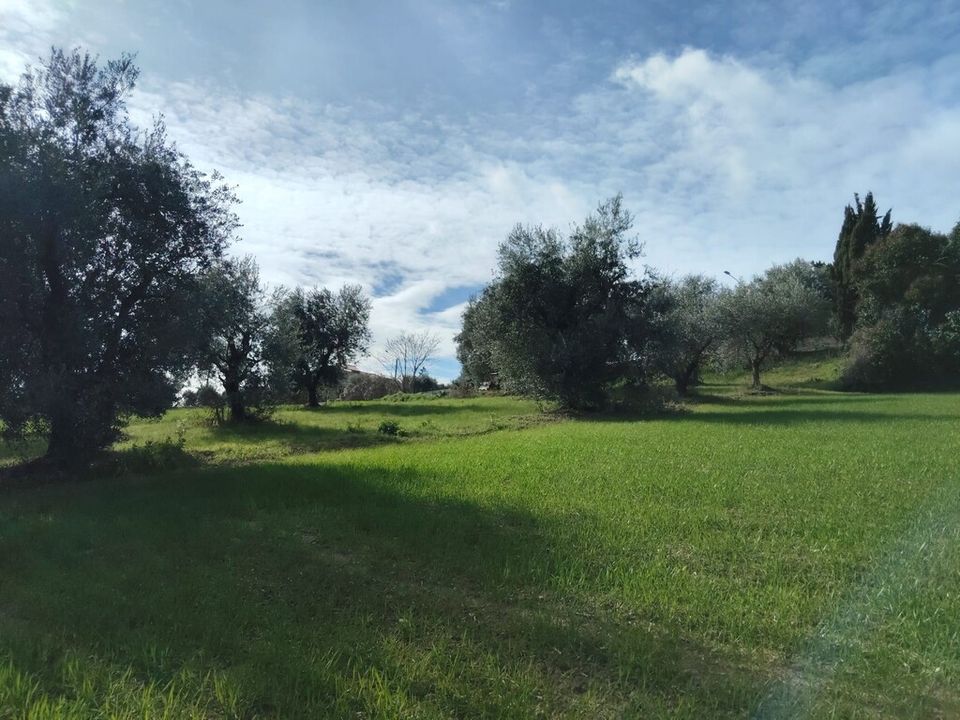 Villa i Petritoli, Fermo - foto 2