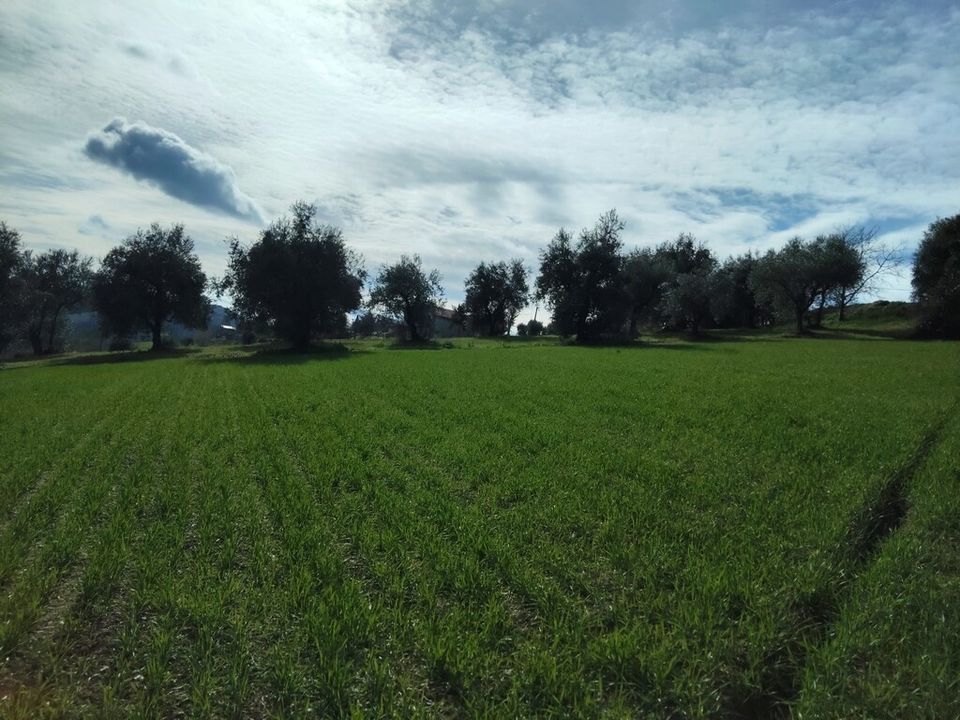 Villa i Petritoli, Fermo - foto 2