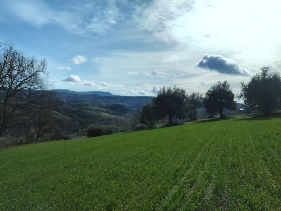 Villa i Petritoli, Fermo - foto 4