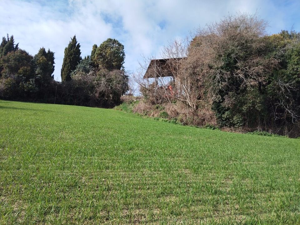 Villa i Petritoli, Fermo - foto 2
