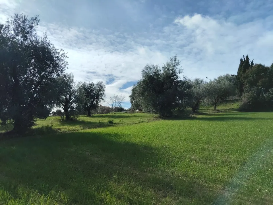Villa a Petritoli, Fermo - foto 3