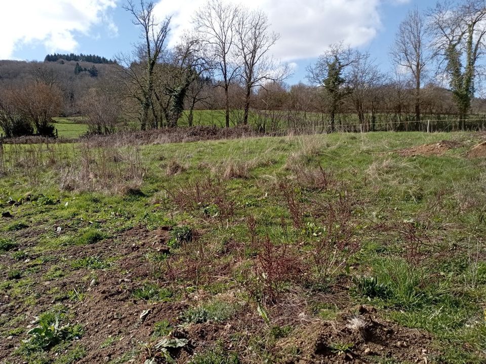 Helårsgrund i Ferrières-sur-Sichon, Allier - foto 1