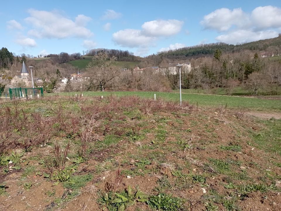 Helårsgrund i Ferrières-sur-Sichon, Allier - foto 4