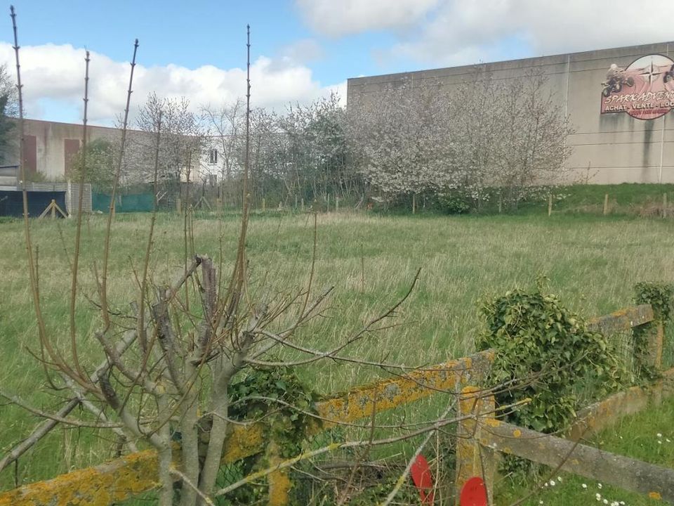 Helårsgrund i Grenay, Pas-de-Calais - foto 1
