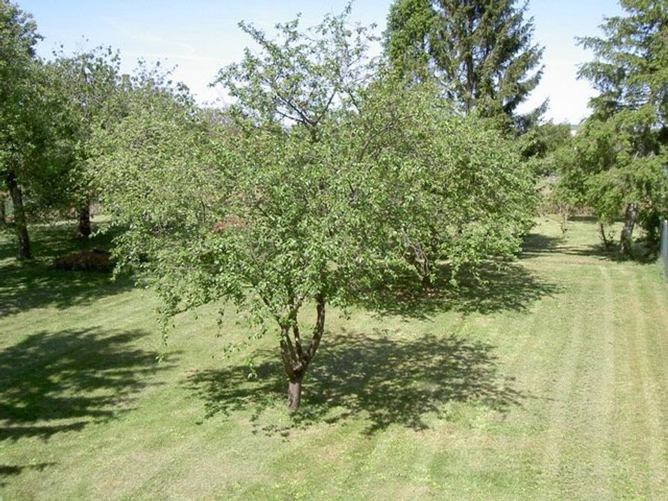 Helårsgrund i Esmans, Seine-et-Marne - foto 1