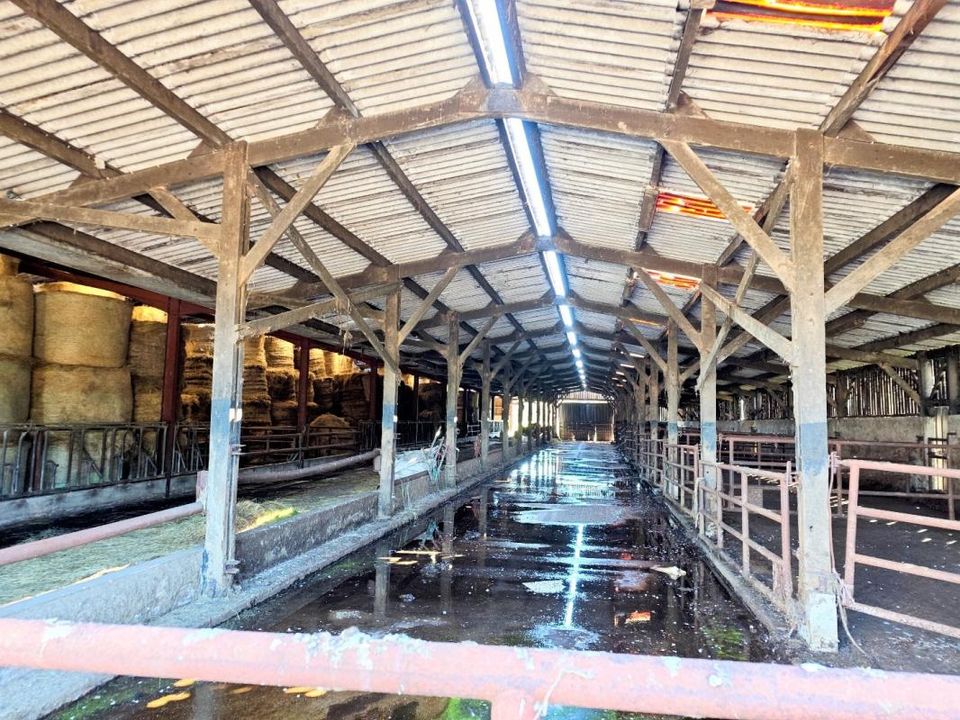 Erhvervsejendom i Saint-Hilaire-de-Riez, Vendee - foto 3