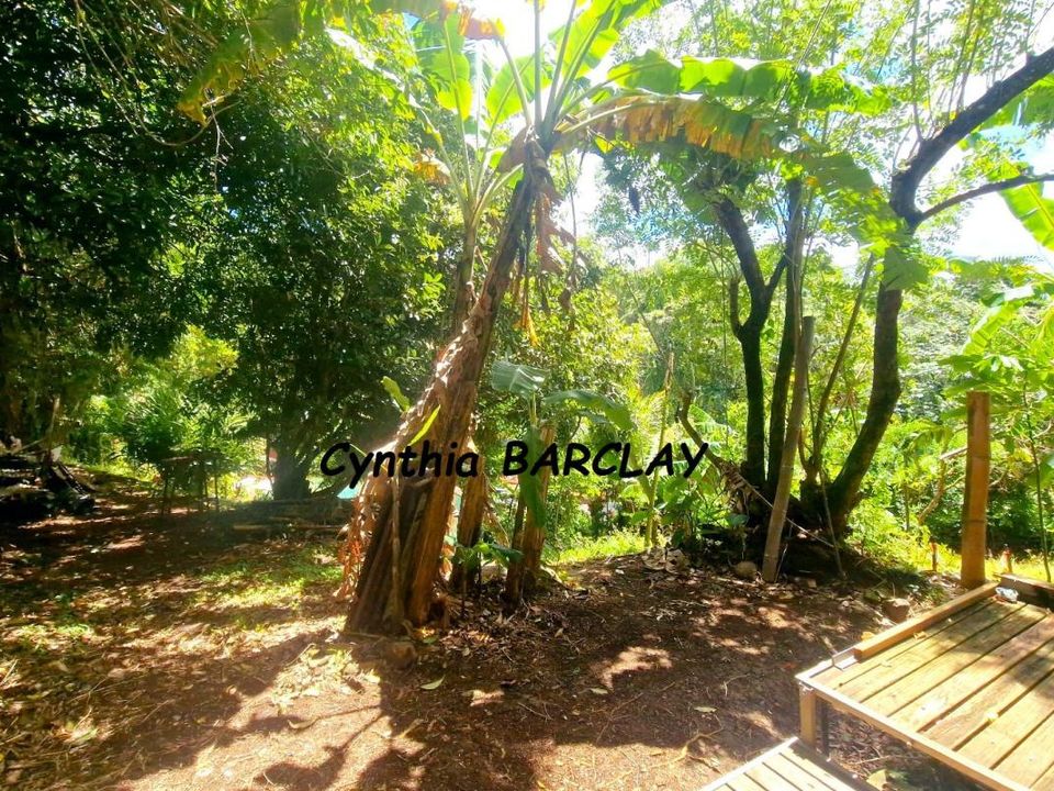 Helårsgrund i Fort-de-France, Martinique - foto 5