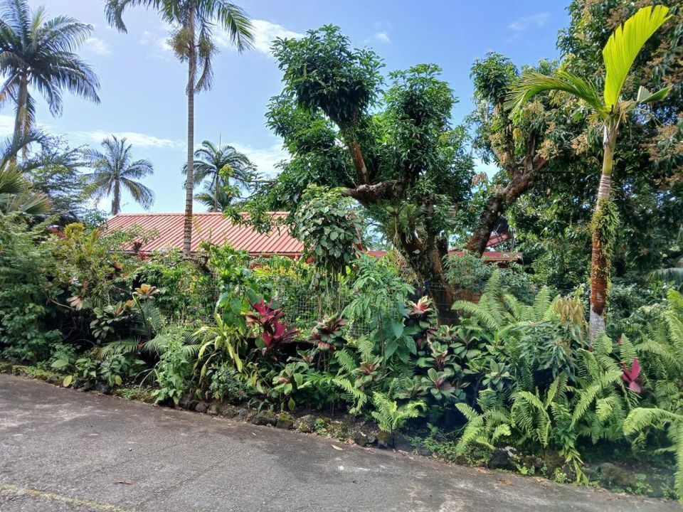 Landejendom i Sainte-Rose, Guadeloupe - foto 1