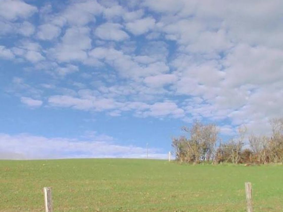 Helårsgrund i St.-Nizier-de-Fornas, Loire - foto 1