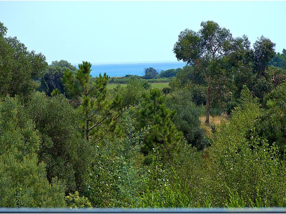 Villa i Solaro, Haute-Corse - bilde 2