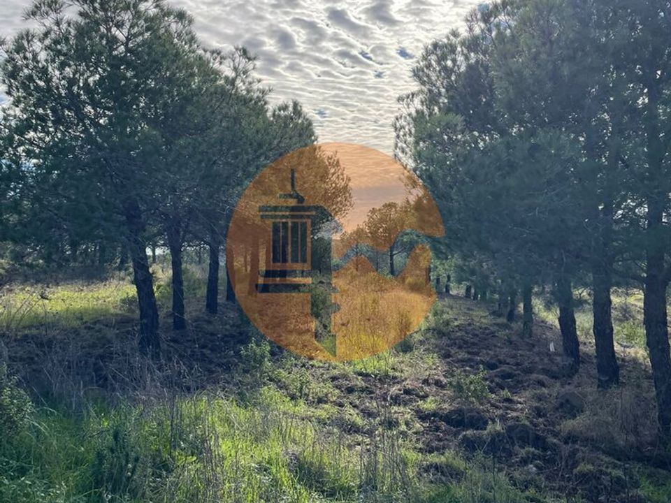 Helårsgrund i Castro Marim, Faro - foto 1