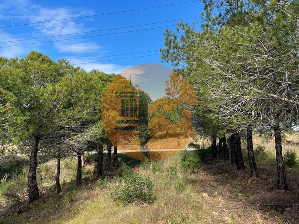 Helårsgrund i Castro Marim, Faro - foto 4