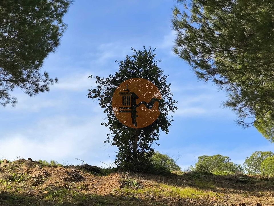 Helårsgrund i Castro Marim, Faro - foto 1