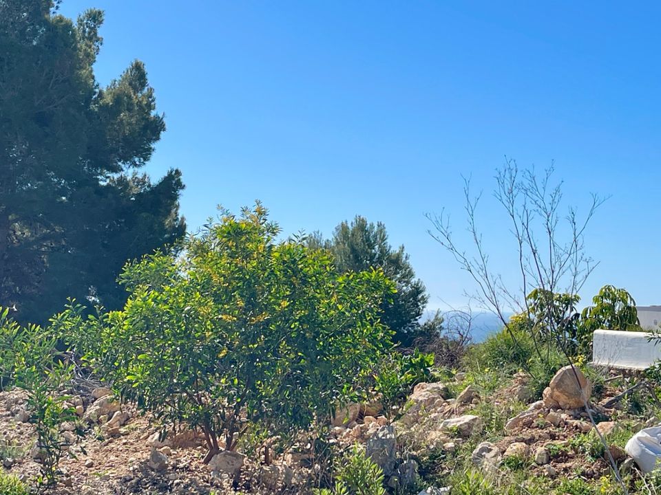 Helårsgrund i Teulada, Alicante - foto 4