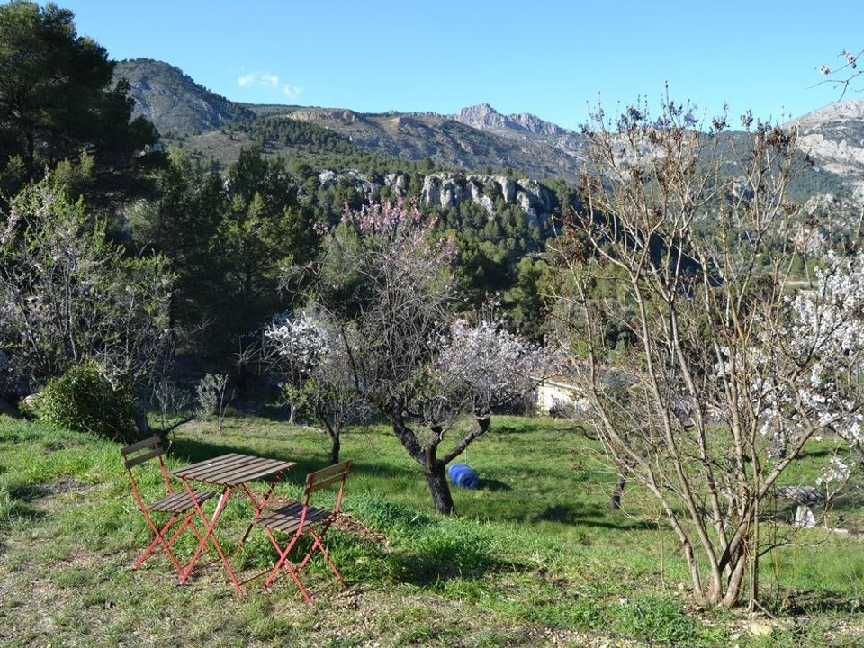 Landejendom i Abdet, Alicante - foto 5