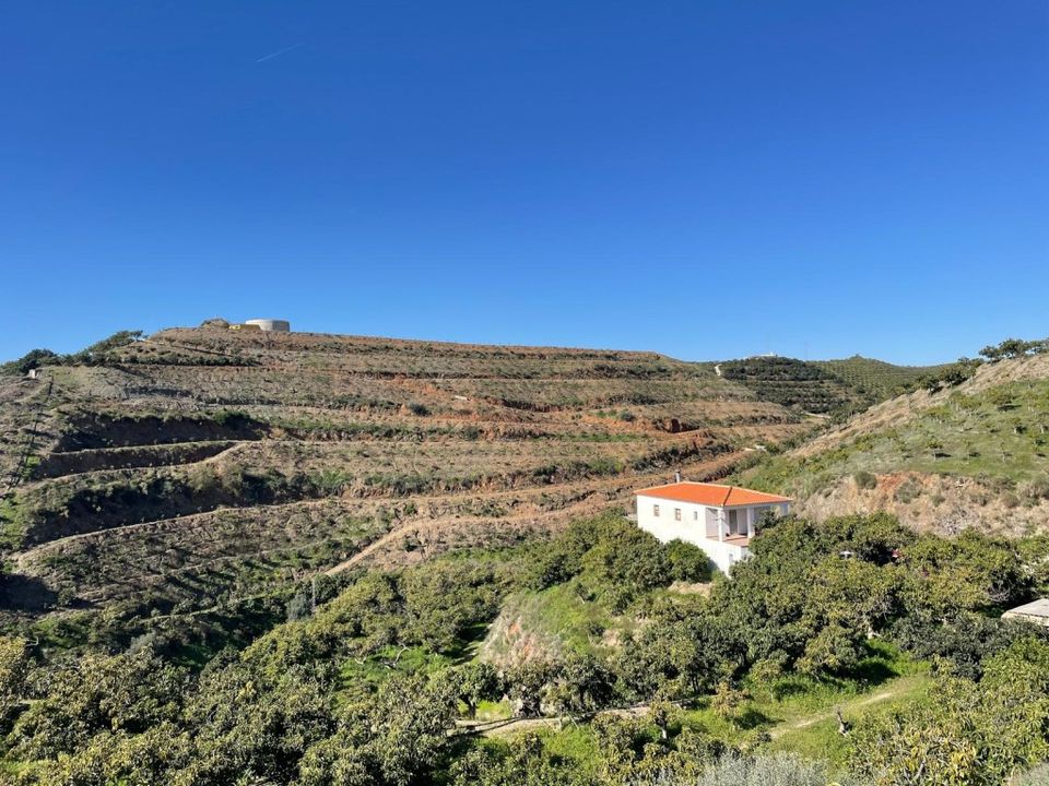 Landejendom i Velez Malaga, Malaga - foto 1
