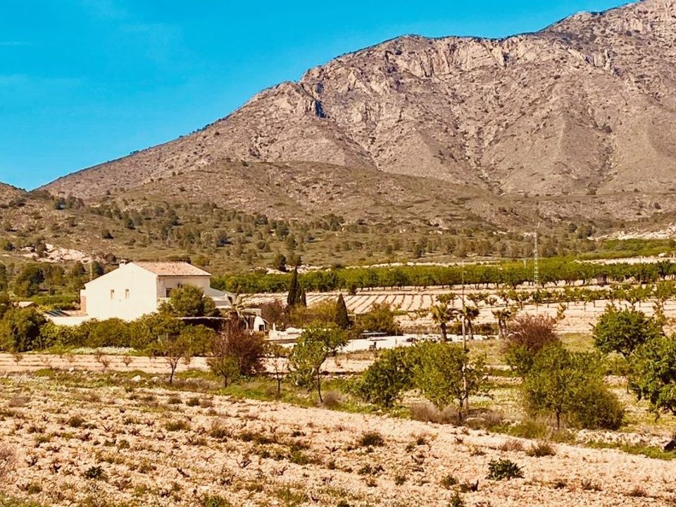 Villa i El Canton, Murcia - foto 5