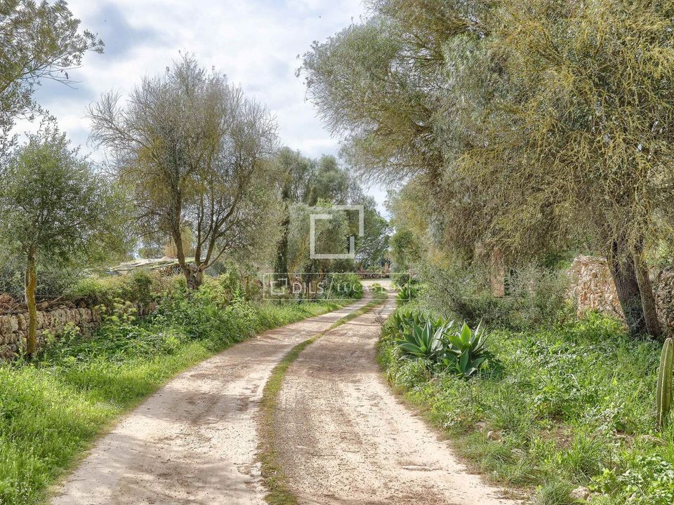 Landejendom i Llucmajor, Mallorca - foto 3