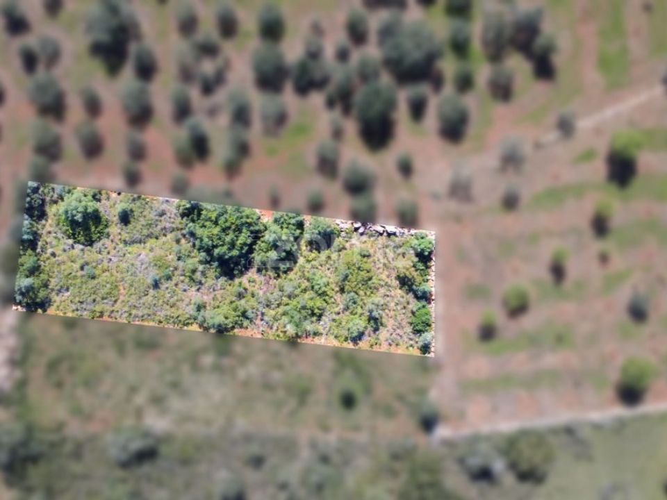 Helårsgrund i Silves, Faro - foto 2