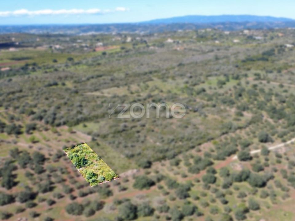 Helårsgrund i Silves, Faro - foto 3