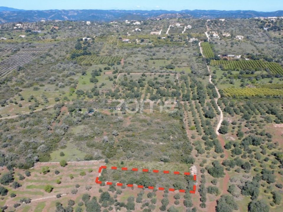 Helårsgrund i Silves, Faro - foto 1