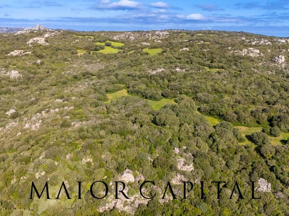 Tomt i Arzachena, Sassari - bilde 3