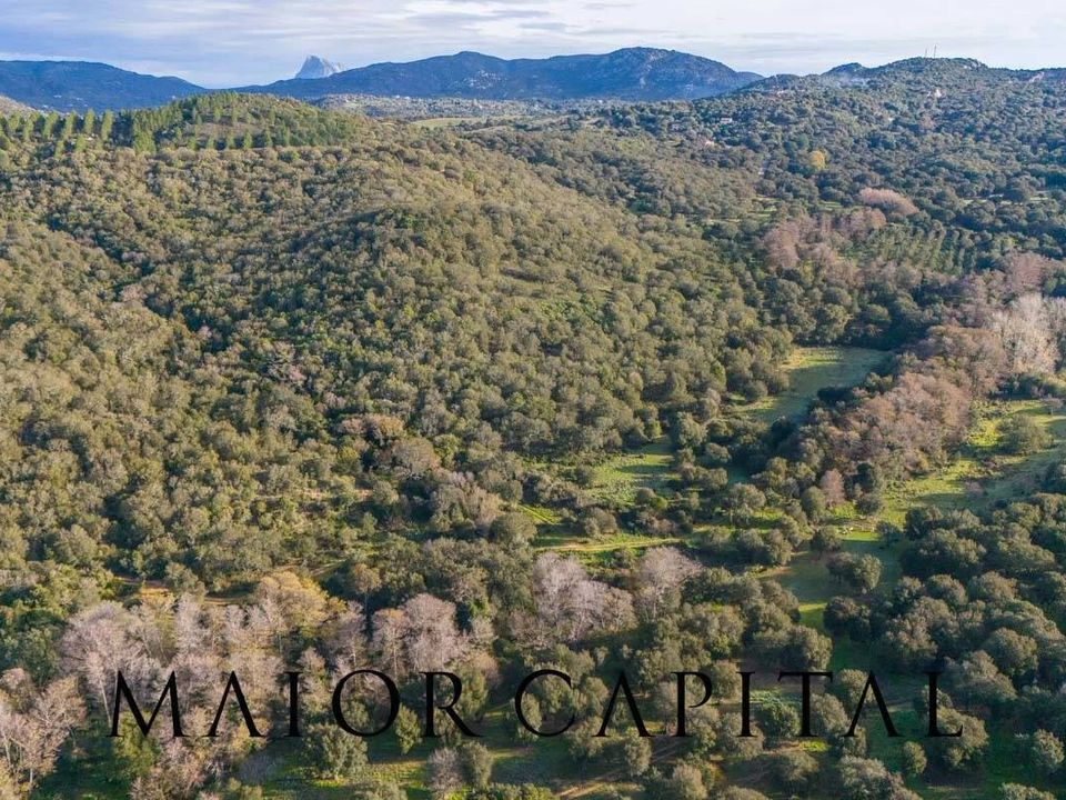 Helårsgrund i Padru, Olbia Tempio - foto 2