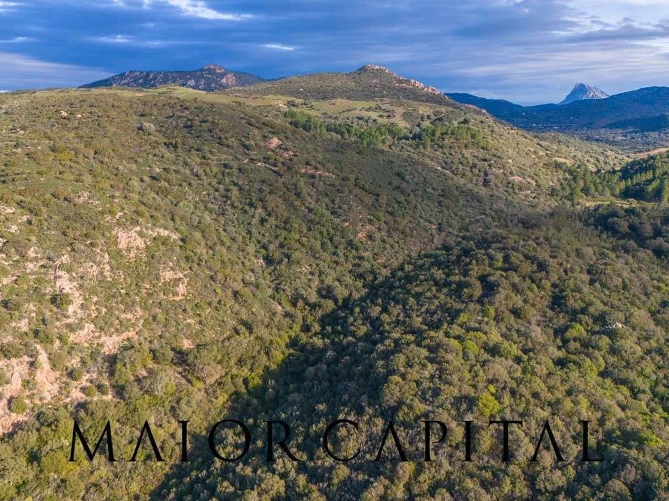 Helårsgrund i Padru, Olbia Tempio - foto 3