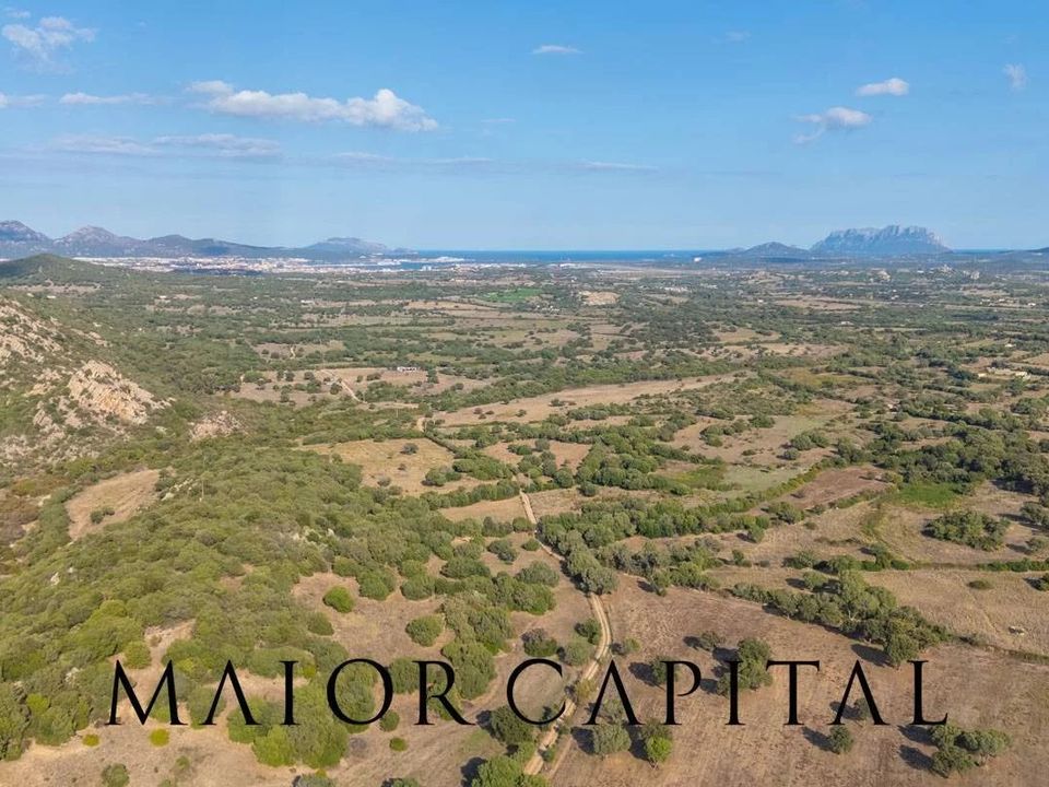 Villa i Olbia, Sassari - bilde 2