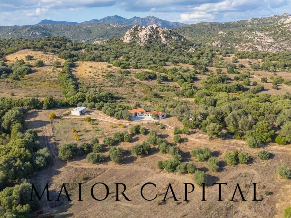 Villa i Olbia, Sassari - bilde 3