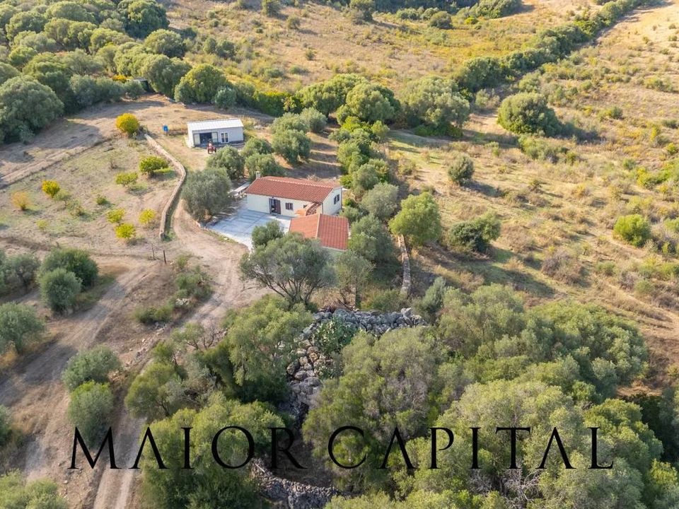 Villa i Olbia, Sassari - bilde 4