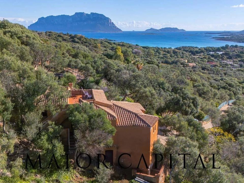 Villa i Olbia, Sassari - bilde 1