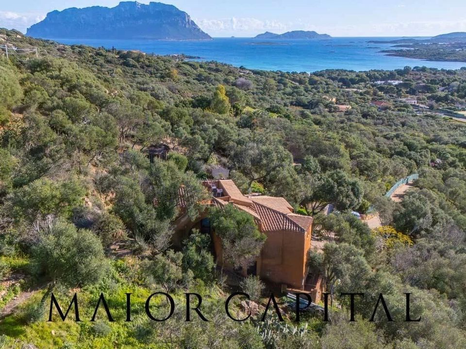 Villa i Olbia, Sassari - bilde 2