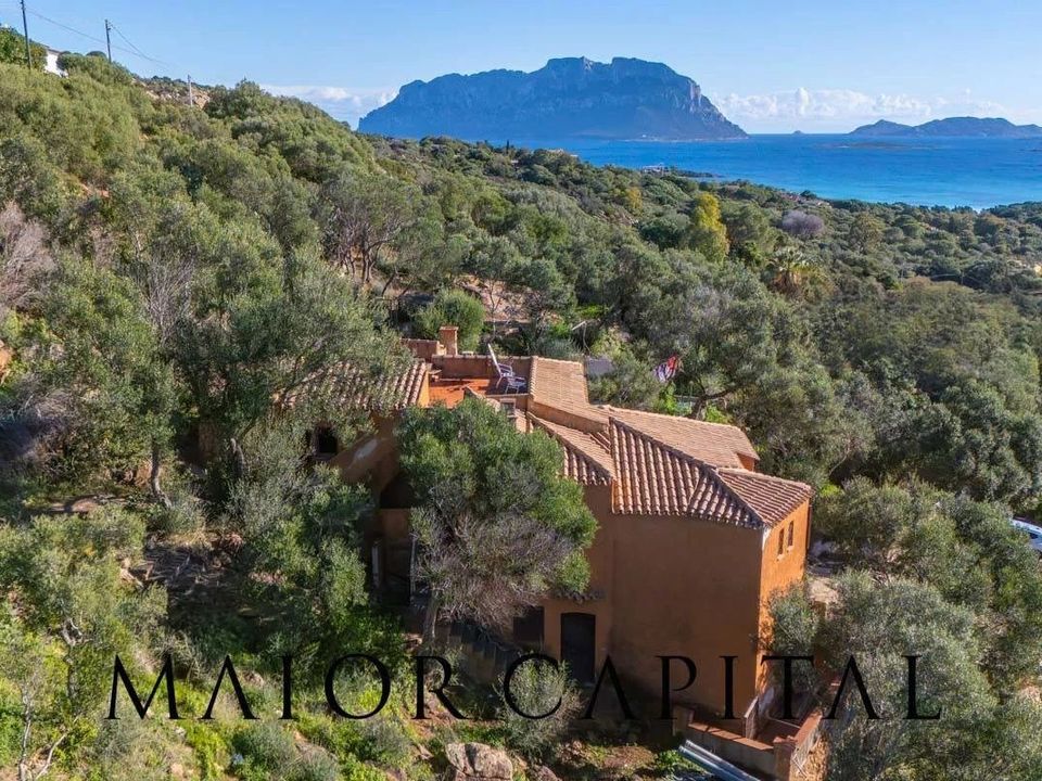 Villa i Olbia, Sassari - bilde 3