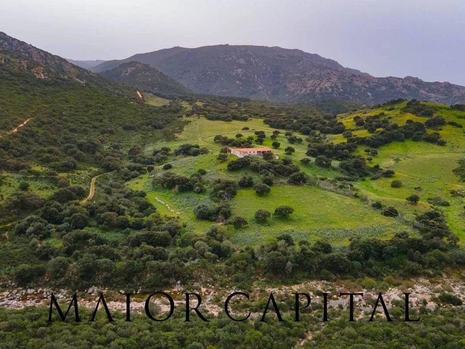 Terreno en Berchidda, Sassari - foto 1