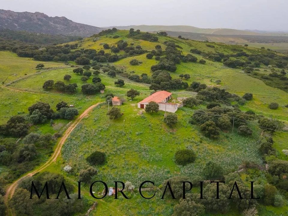 Terreno en Berchidda, Sassari - foto 2