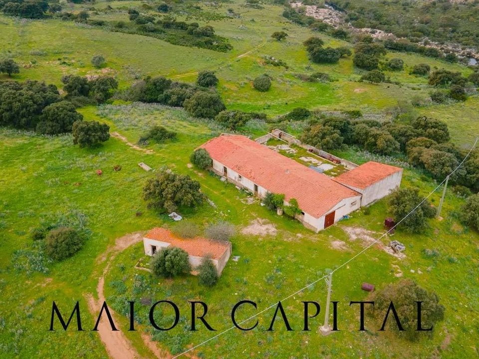 Terreno en Berchidda, Sassari - foto 3