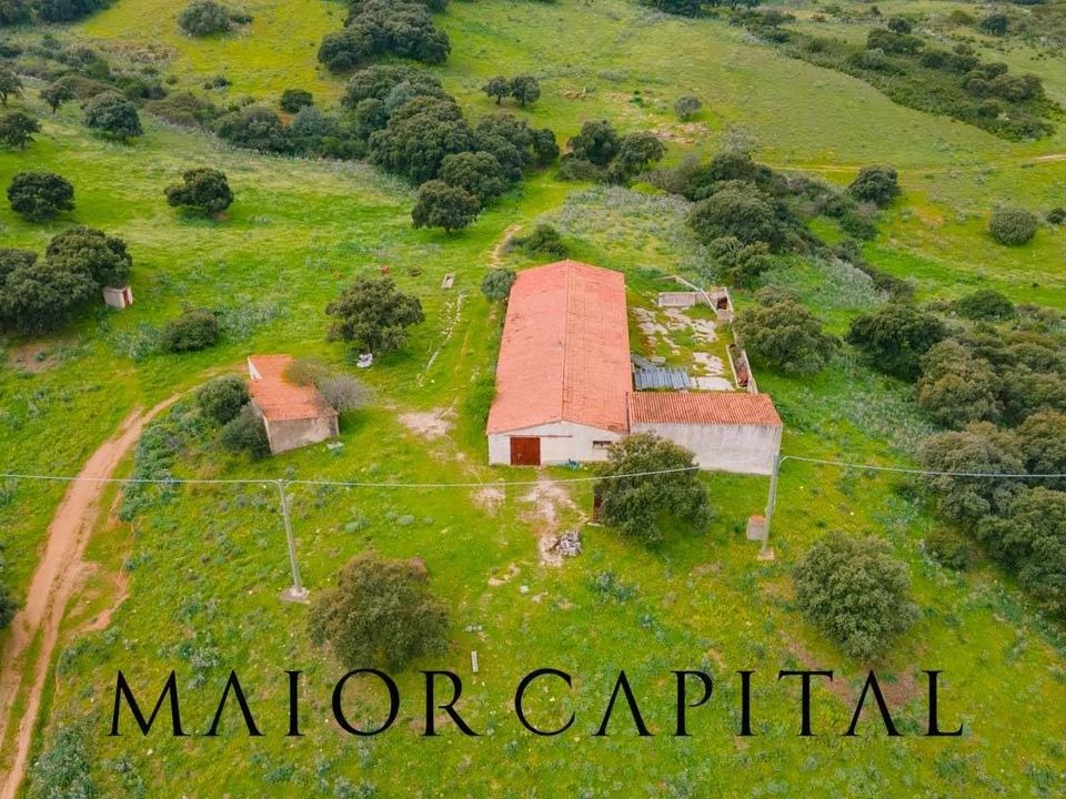 Terreno en Berchidda, Sassari - foto 4
