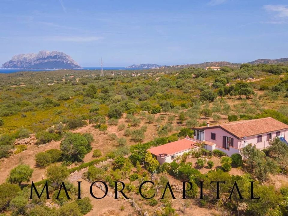 Villa i Olbia, Sassari - foto 2