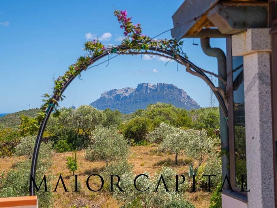 Villa i Olbia, Sassari - foto 3