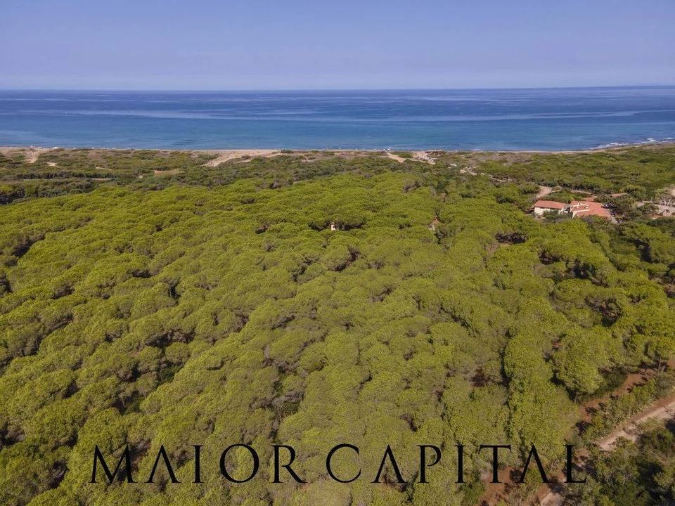 Erhvervsejendom i Cuglieri, Oristano - foto 4