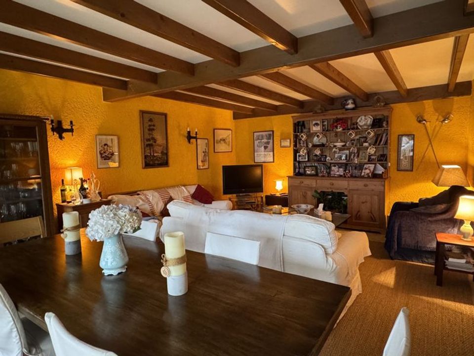 Villa i Trie-Sur-Baise, Hautes-Pyrenees - foto 2