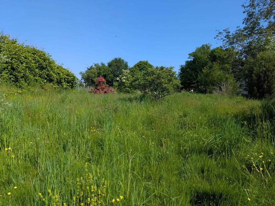 Villa i La Chatre-Langlin, Indre - foto 4