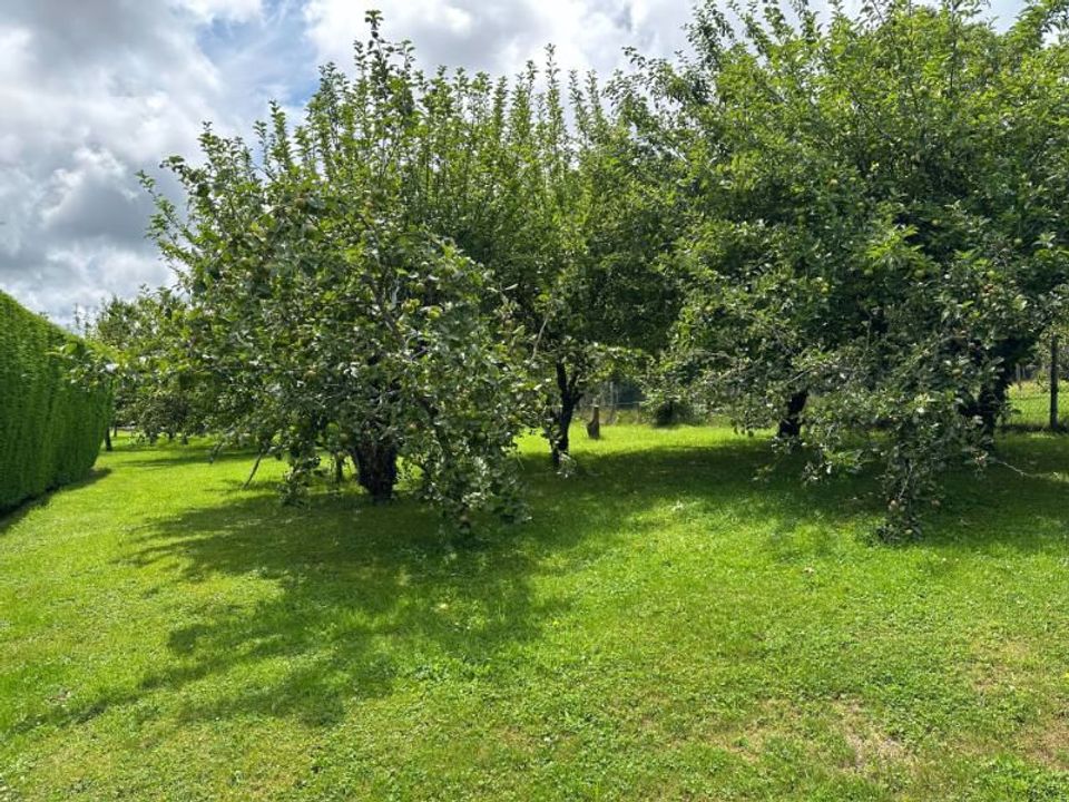 Villa a Sourdeval, Manche - foto 4