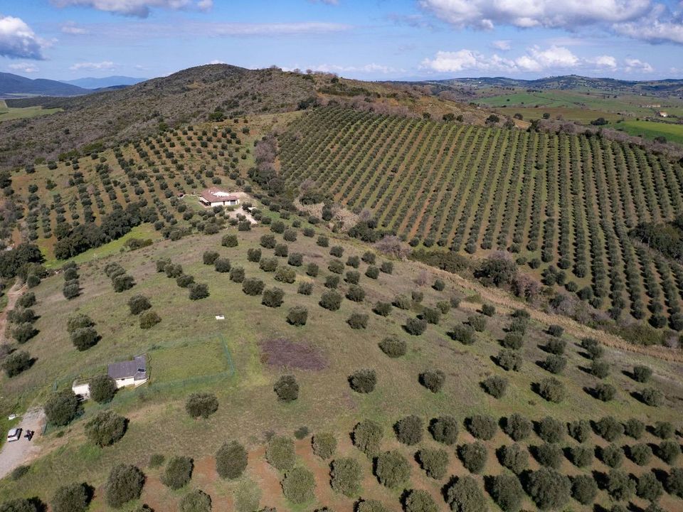 Helårsgrund i Orbetello, Grosseto - foto 1