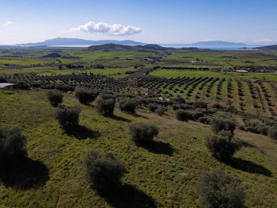 Helårsgrund i Orbetello, Grosseto - foto 2