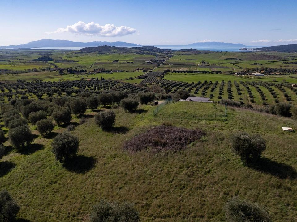 Helårsgrund i Orbetello, Grosseto - foto 4
