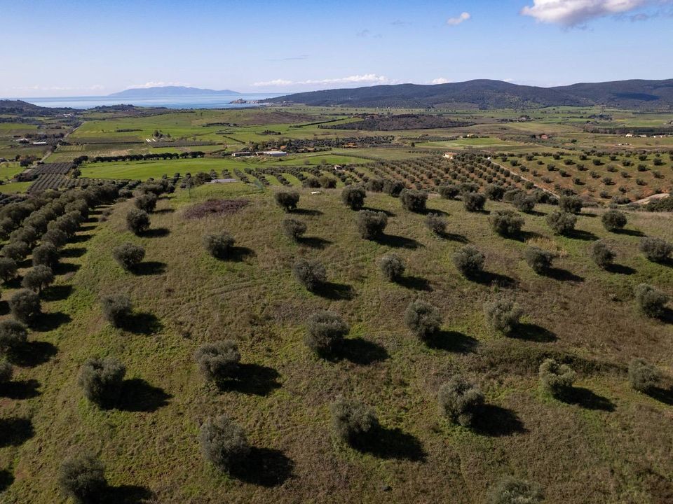 Helårsgrund i Orbetello, Grosseto - foto 5
